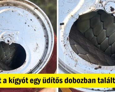 17 véletlenszerű felfedezés, ami miatt az emberek tágra nyitották a szemüket