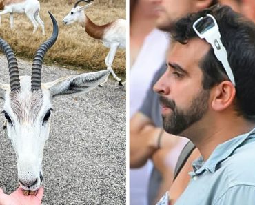 16 kép, ami arra késztethet, hogy időpontot kérj a szemorvosodtól