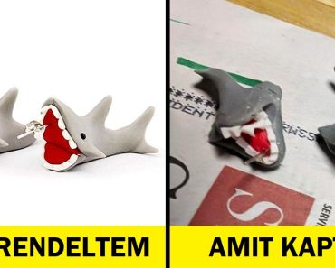 15 ember, akiknek az elvárásai sajnos porba hullottak