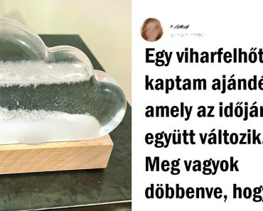 17 dolog, ami azért készült, hogy mindenki szeresse őket
