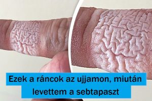 16 fotó hétköznapi dolgokról, amelyek furcsa szögekből készültek
