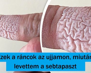 16 fotó hétköznapi dolgokról, amelyek furcsa szögekből készültek