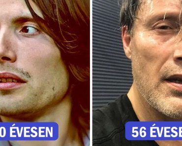 15 színész, aki a korral még jóképűbb lett