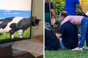 15 véletlen felvétel, ami határozottan nem az, aminek látszik