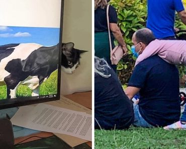 15 véletlen felvétel, ami határozottan nem az, aminek látszik
