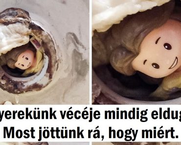 16 kép, ami megmutatja, hogy az élet a családdal mindig kiszámíthatatlan