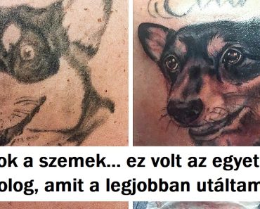 24 „elfedő” tetoválás, amelyek az unalmas képeket valami igazán eredetivé varázsolták