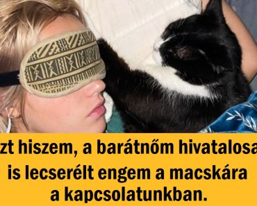 15 kép egy váratlanul édes csavarral