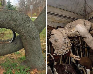 15 alkalom, amikor az elhagyott dolgok még bájosabbak lettek