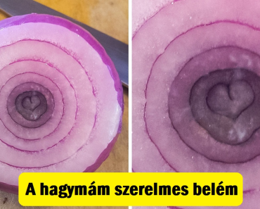 20 kép, amelyek bizonyítják, hogy a véletlen művészet képes meghódítani az elménket