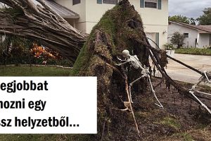 15 ember, akik pozitív vibrálást sugároznak még akkor is, amikor az élet keserű pirulát ad nekik