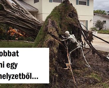 15 ember, akik pozitív vibrálást sugároznak még akkor is, amikor az élet keserű pirulát ad nekik
