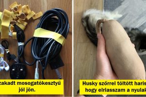 19 háztartási guru, akik tudnak egy-két dolgot a spórolásról