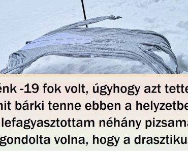 15+ internet-felhasználó, akiknek a kiváló humorérzéke nem hagyja őket unatkozni