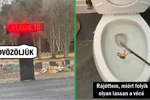 17 alkalom, amikor az emberek olyan váratlan dolgokat láttak, amin jót nevettek