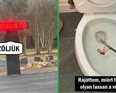 17 alkalom, amikor az emberek olyan váratlan dolgokat láttak, amin jót nevettek
