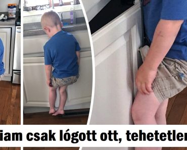 25 kép, amelyek bebizonyítják, hogy ha gyerekekről van szó, számítanod kell a váratlanra