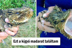 15 alkalom, amikor az univerzum unatkozott, és úgy döntött, hogy igazi show-t rendez