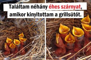 15 alkalom, amikor az emberek egy kicsit messze voltak attól, hogy normális napjuk legyen