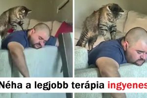 18 háziállat-ember kötődés, amely növeli a napi szerotoninadagodat