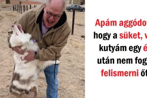 15 fotó, ahol az emberek és a háziállatok közötti kötődés egy mérföldről is érezhető