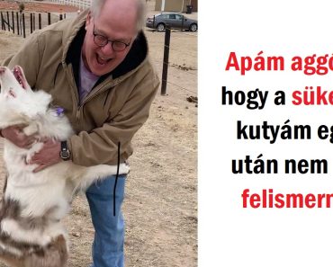 15 fotó, ahol az emberek és a háziállatok közötti kötődés egy mérföldről is érezhető 15 fotó, ahol az emberek és a háziállatok közötti kötődés egy mérföldről is érezhető