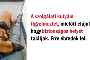 15 pillanat, amitől megállt a szívünk