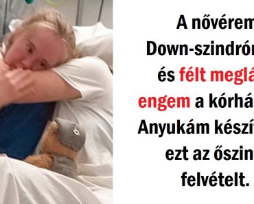 20 kép, amely szavak nélkül elmondja, „szeretlek” 20 kép, amely szavak nélkül elmondja, „szeretlek”