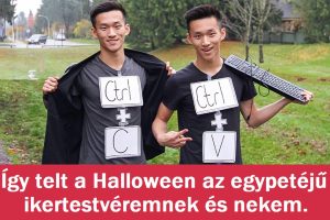 15 fotó, ami bizonyítja, hogy egy ikertestvér dupla áldás