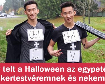 15 fotó, ami bizonyítja, hogy egy ikertestvér dupla áldás