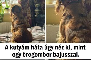 15 fotó, amely megmutatja, hogy a világ tele van hihetetlen dolgokkal, csak közelebbről kell néznünk