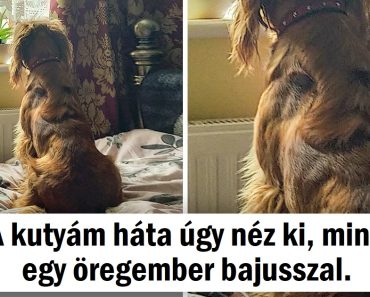 15 fotó, amely megmutatja, hogy a világ tele van hihetetlen dolgokkal, csak közelebbről kell néznünk