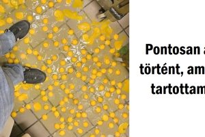 15 ember, aki megtapasztalta a balszerencsét, és nem tudott ellenállni a fotózásnak