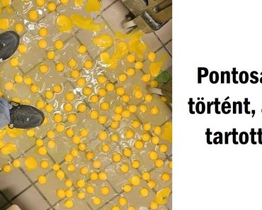15 ember, aki megtapasztalta a balszerencsét, és nem tudott ellenállni a fotózásnak