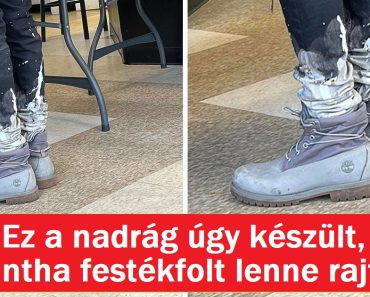 20+ zavarba ejtő kép, amire nehéz lehet választ találni