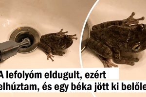 15 ember, akinek az élete egyszerűen nem válik unalmassá