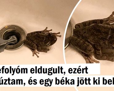 15 ember, akinek az élete egyszerűen nem válik unalmassá 15 ember, akinek az élete egyszerűen nem válik unalmassá
