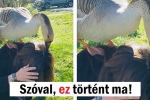 15 alkalom, amikor az univerzum úgy döntött, hogy egy kis műsorral sújtja az embereket