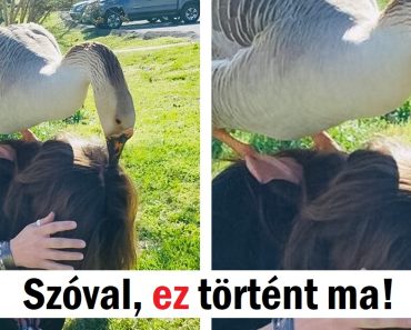 15 alkalom, amikor az univerzum úgy döntött, hogy egy kis műsorral sújtja az embereket