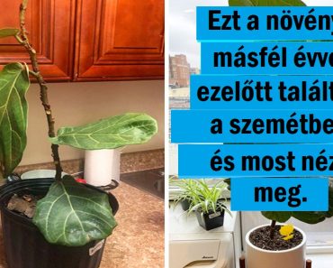 16 ember, akik „előtte” és „utána” fotók megosztásával mutatták meg az eredményeiket