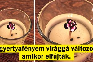 20+ napi esemény, amelyet egyedülálló módon örökítettek meg