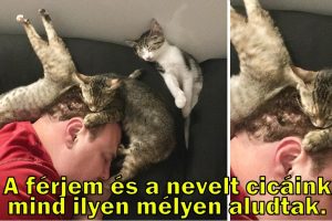 15 ember, akik határozottan élveznek minden apró dolgot az életben