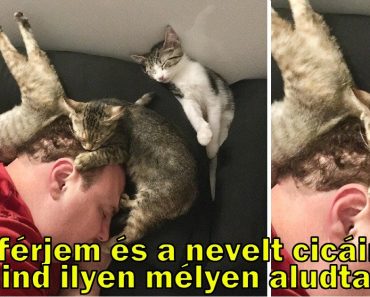 15 ember, akik határozottan élveznek minden apró dolgot az életben