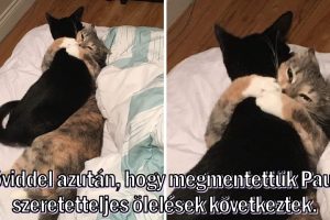 15 jelentéssel teli fotó, amitől libabőrösek lettünk