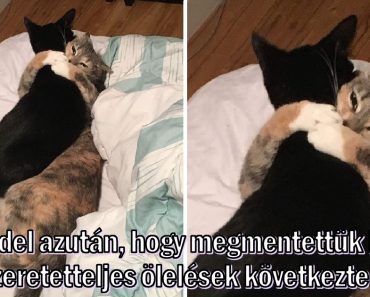 15 jelentéssel teli fotó, amitől libabőrösek lettünk 15 jelentéssel teli fotó, amitől libabőrösek lettünk