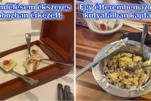 15 ember, akik étteremben akartak enni, de most azt kívánják, bárcsak otthon maradtak volna.