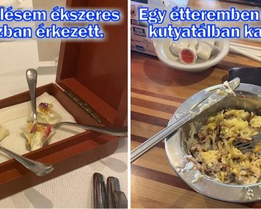 15 ember, akik étteremben akartak enni, de most azt kívánják, bárcsak otthon maradtak volna.