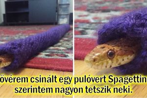25 ember, akik úgy néznek szembe a kihívásokkal, mint senki más