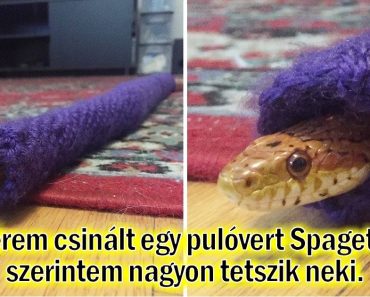 25 ember, akik úgy néznek szembe a kihívásokkal, mint senki más
