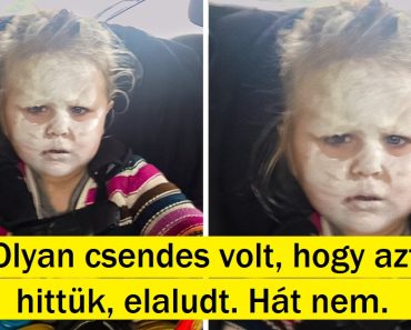 15+ kép olyan emberektől, akik a szülői lét őrült, mégis csodálatos világában élnek